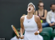 NG体育-莎拉波娃爆冷击败独行侠，出色防守引爆全场！的简单介绍